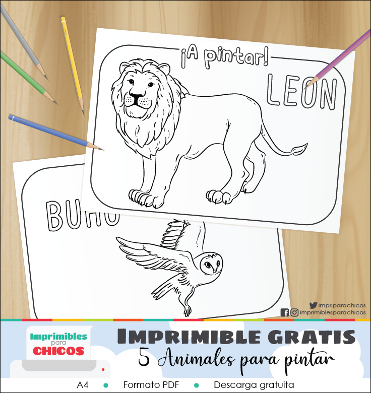 5 animales para pintar