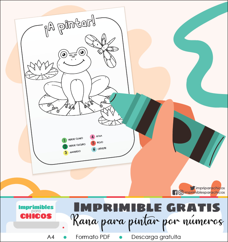 Rana para pintar por numeros